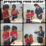 Preparing rose water