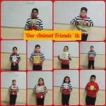Our Animal friends : Class ll