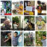World environment day 2020 classll : Classll