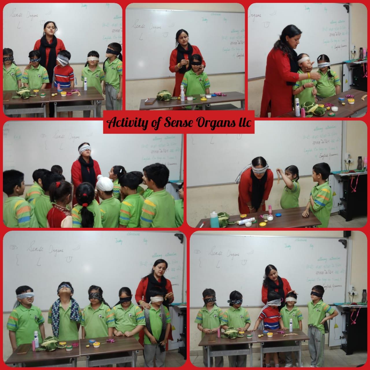 Sense Organs Activity Class 2 2019