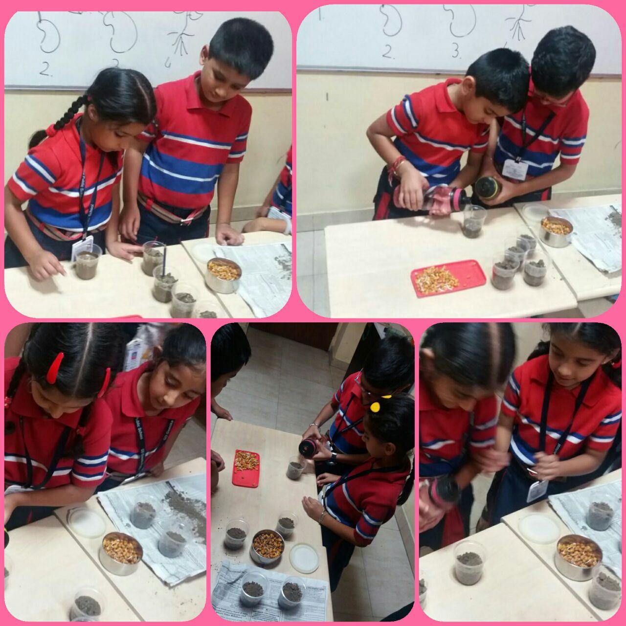 Seed germination activity Class-II