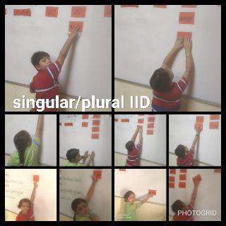 Singular Plural Class2 2019