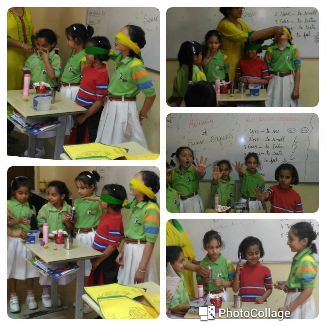 sense organs activity class-II 2017