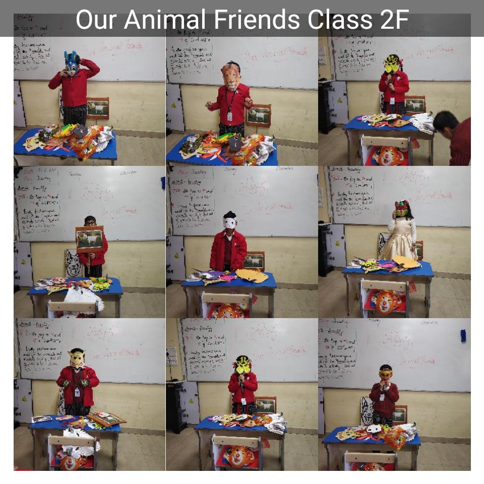 Our Animal Friends Class 2 2019