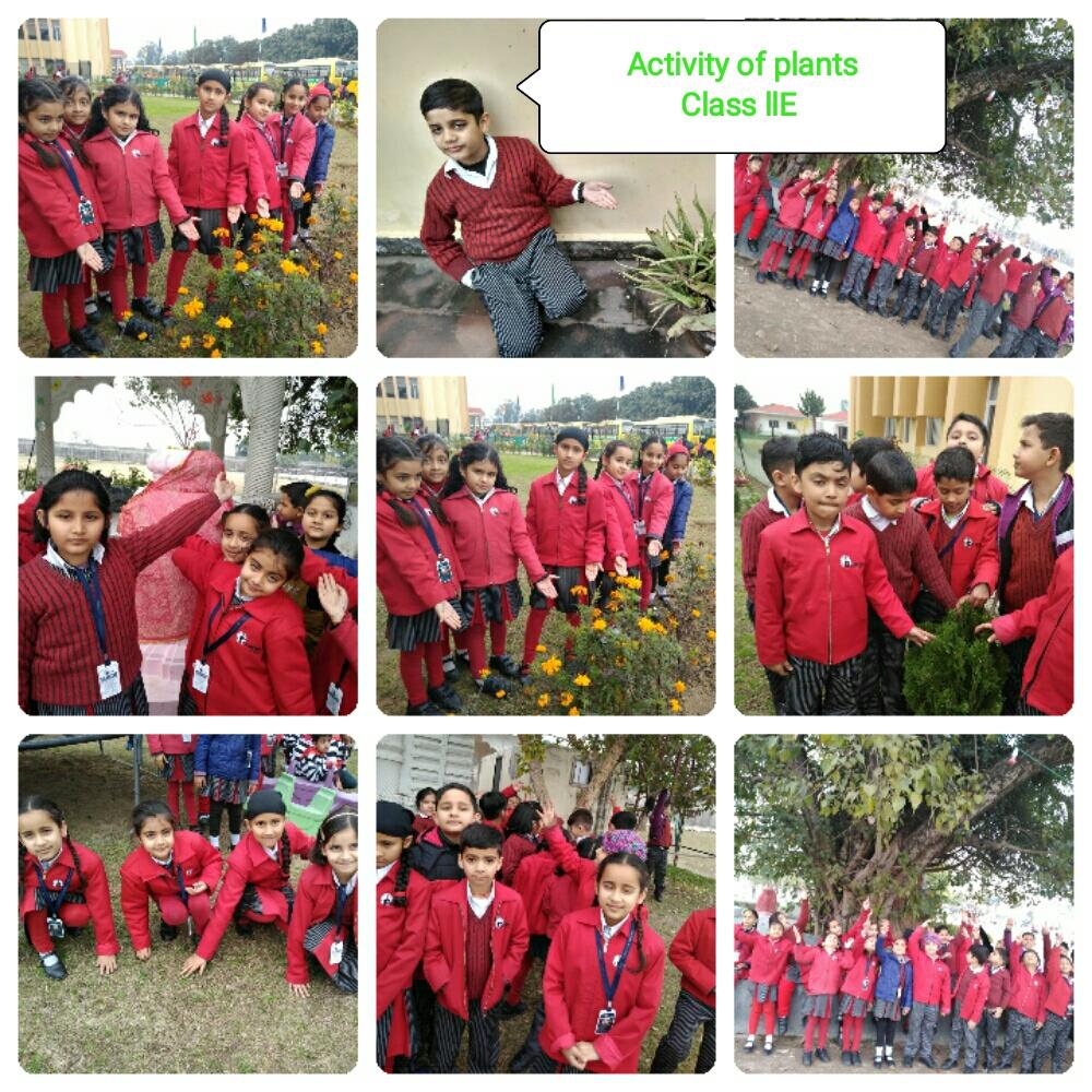 MY GREEN WORLD CLASS II 2019