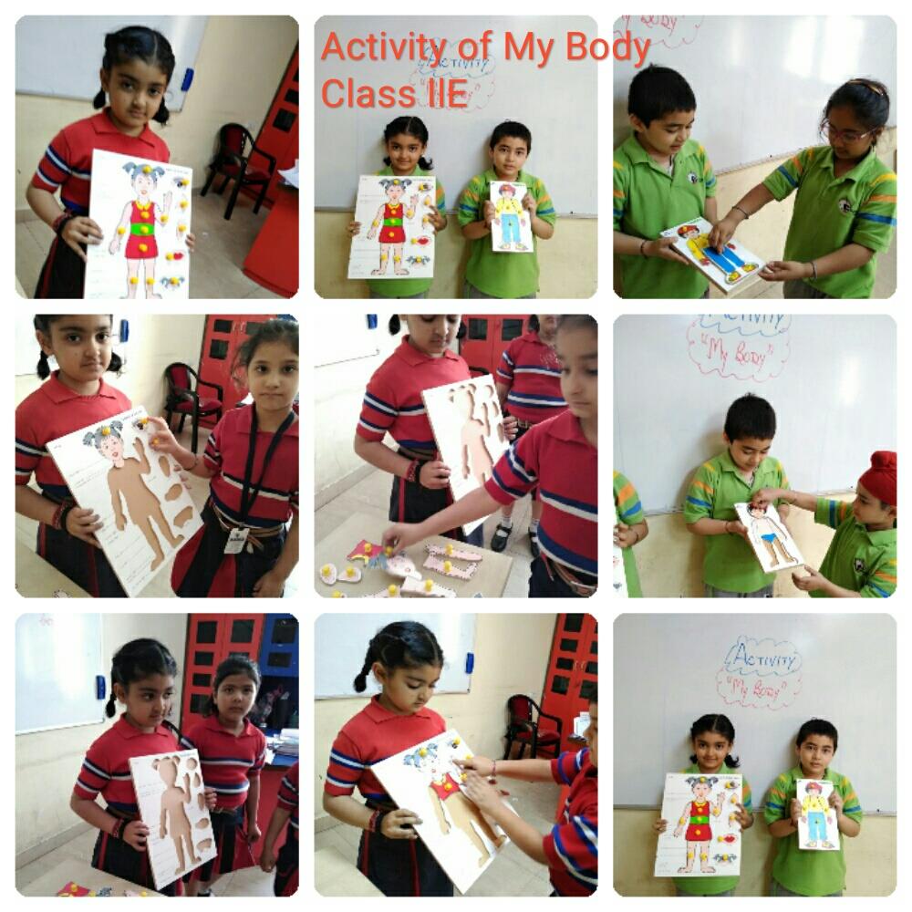 Inside My Body Class 2 2019