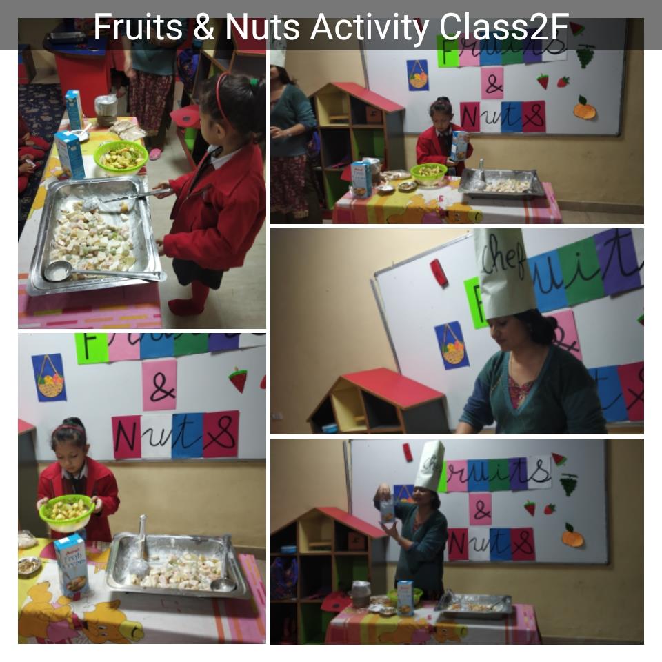 Fruits & Nuts Activity Class 2 2019