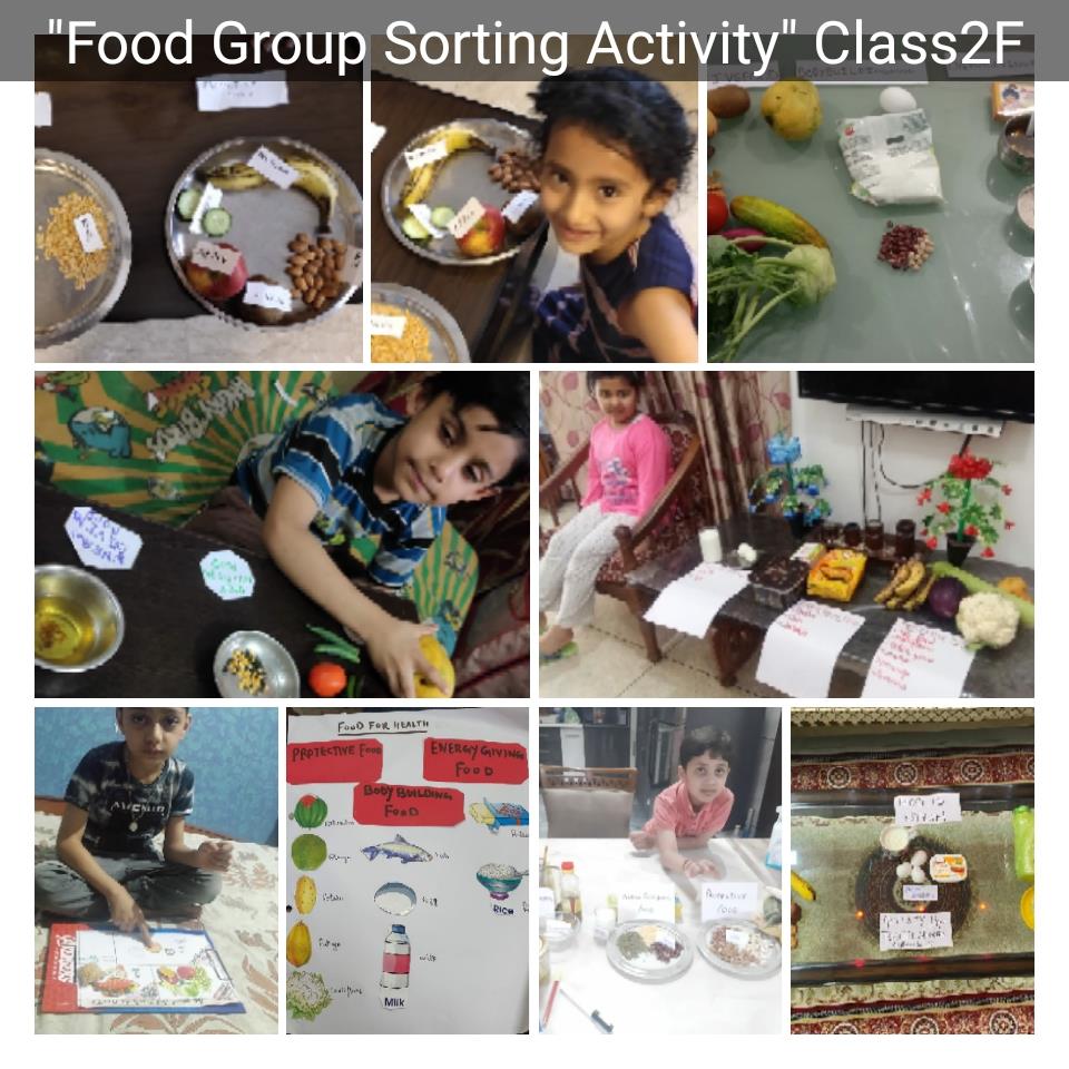 Food collage activity class ll 2020