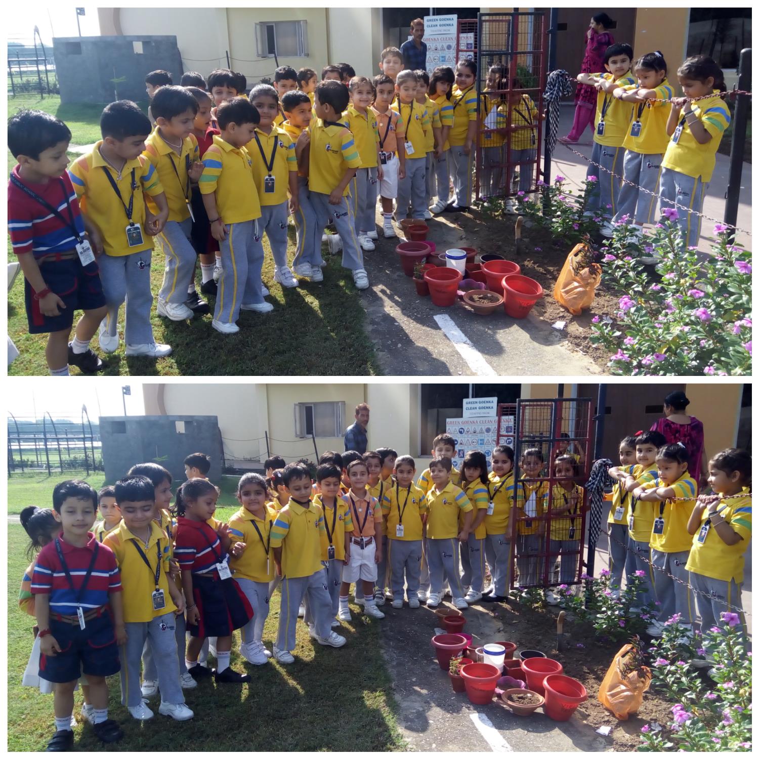 Plantation drive
