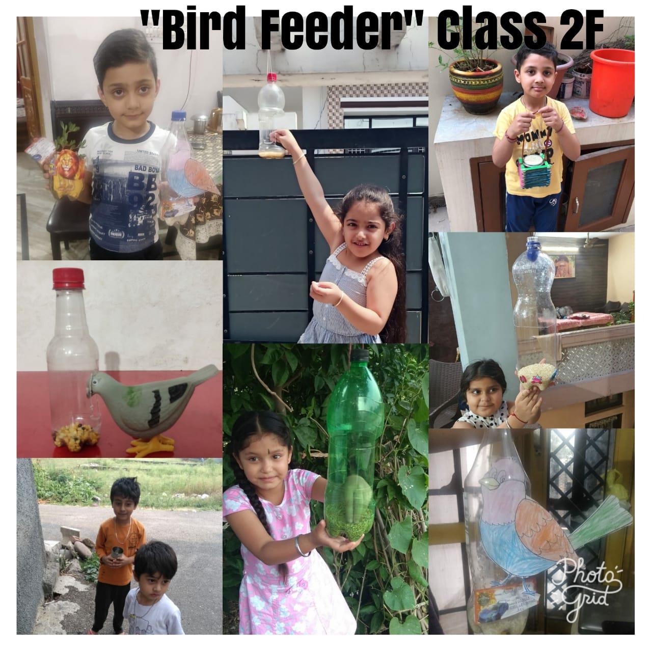 World environment day celebration 2020 classll