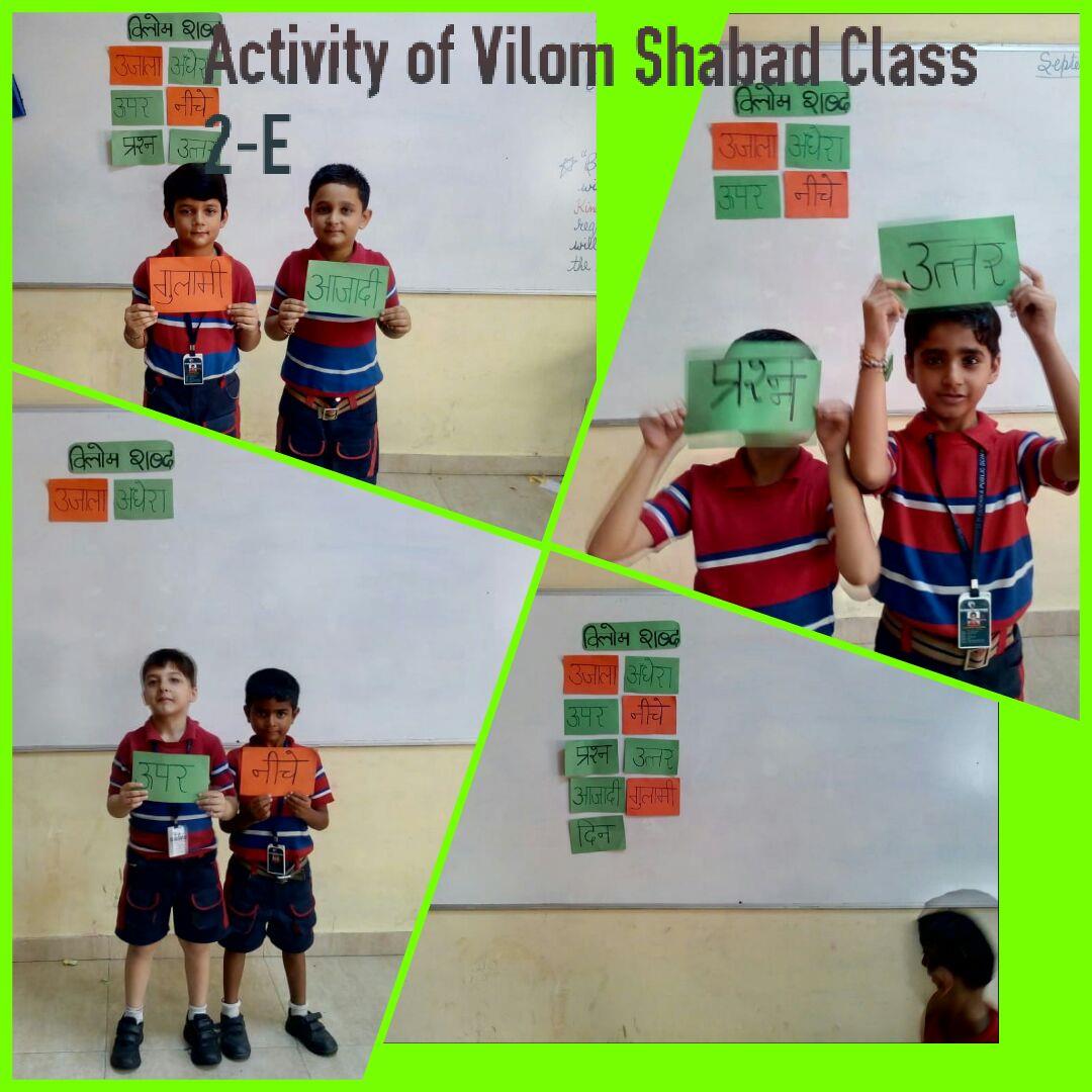VILOM SHABD CLASS 11 2018