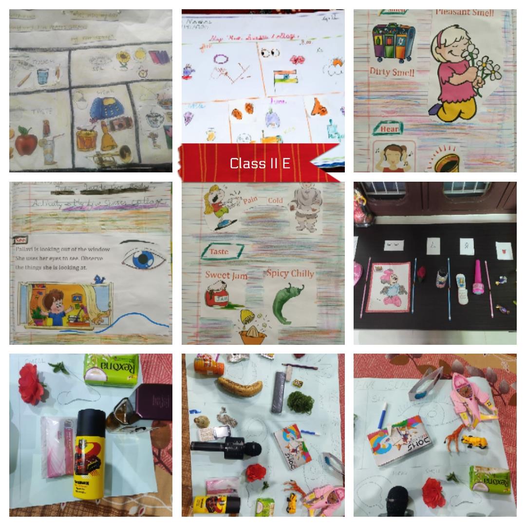 Sense organs 2020 classll