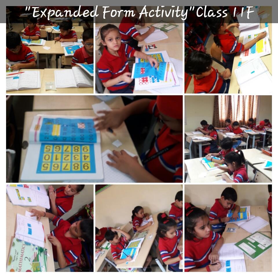 EXPANDED FORM Class II 2018