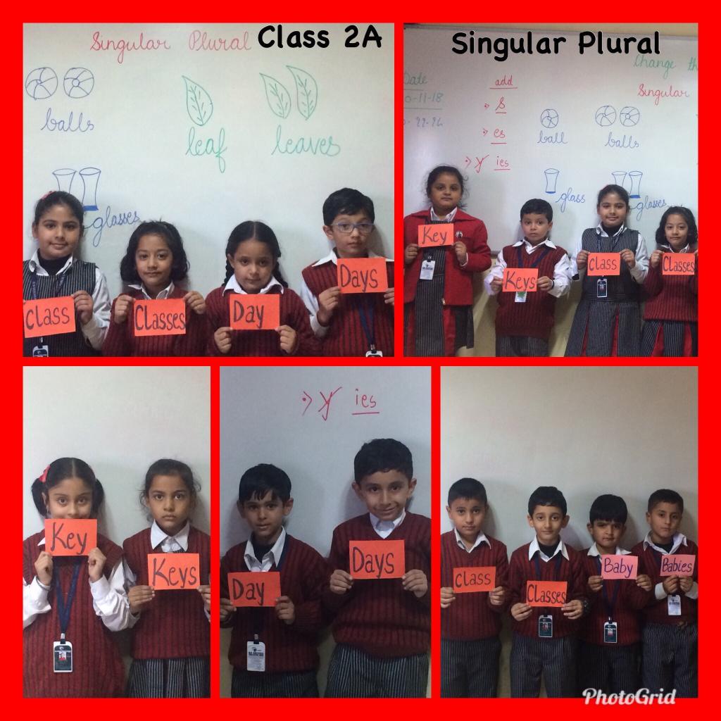 Singular Plural Activity Class 11 2018