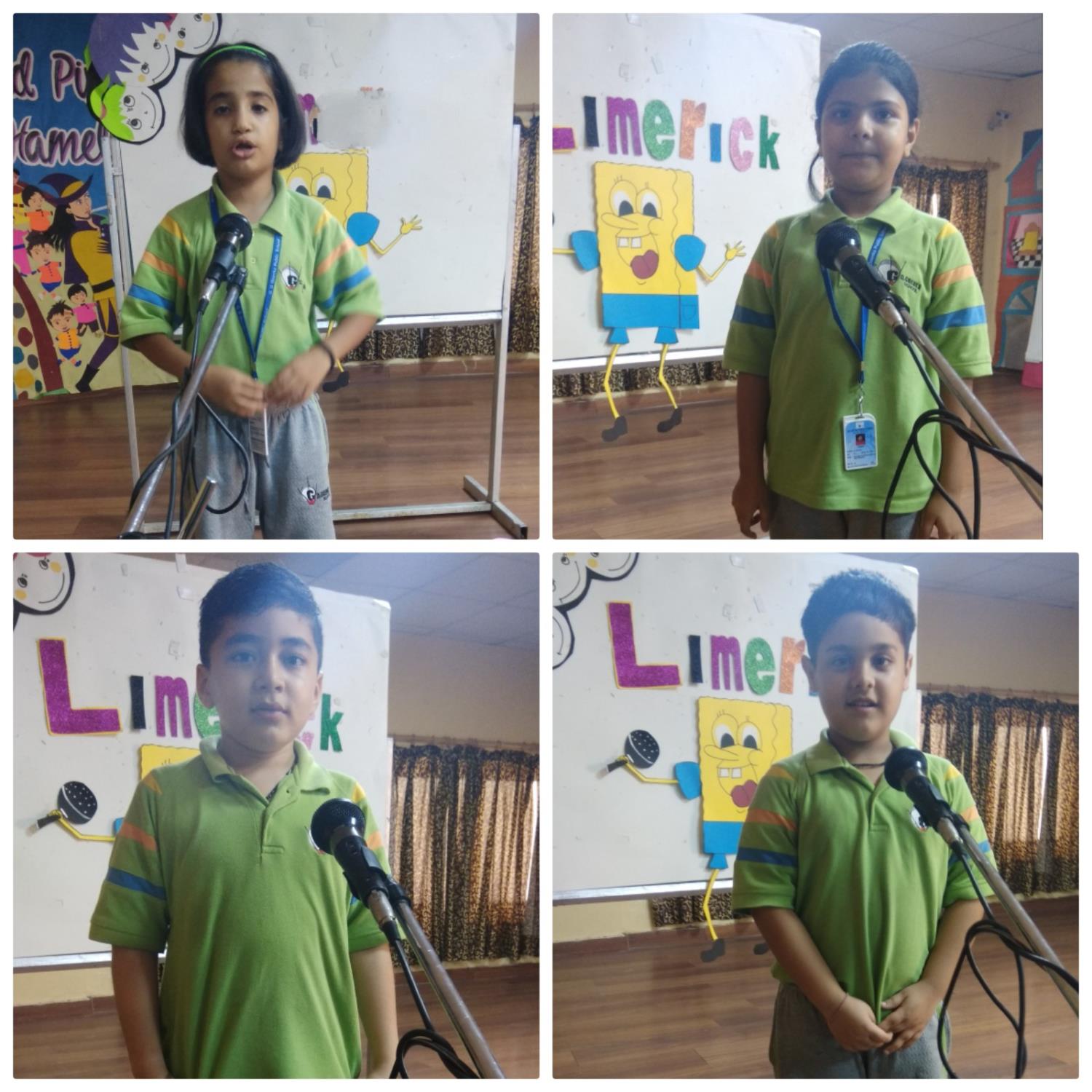 Limerick Class-ll