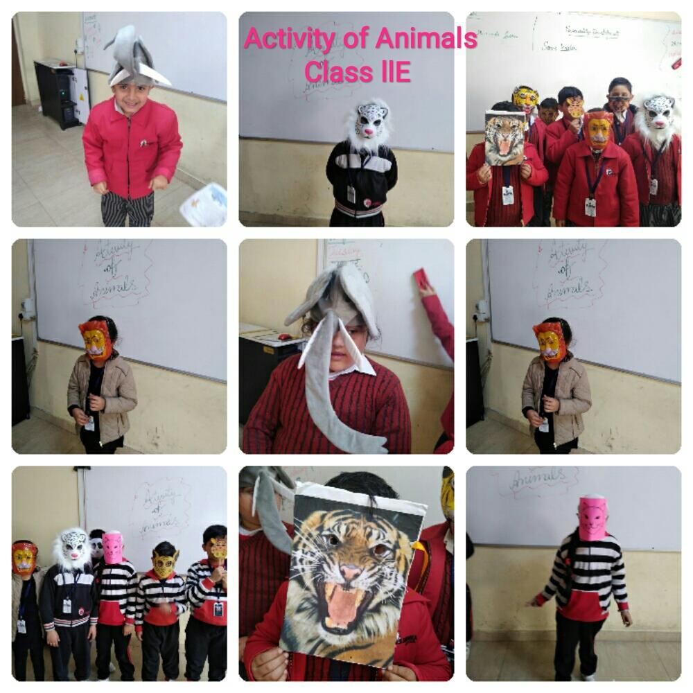 Our Animal Friends Class II 2019