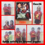 Internal organs : Class 2