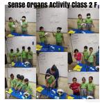Sense Organs : Class 2