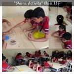 Channa activity