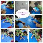 Channa Activity : class ll