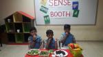 Sense Booth