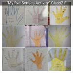 Sense organs activity 2020 : Classll