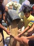 Class 8 Field Tour : A field tour organised by the Department of Science for class 8 in order to reveal different agricultural practices to the students with the aim to make the learning environment as realistic as possible.