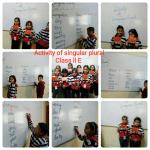 singular plural : class 2