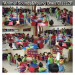 Animal Sounds&Young Ones : Class 2