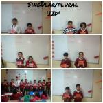 singular plural : class 2