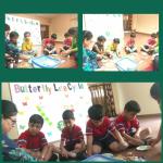 Kindergarten : Butterfly life cycle