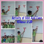 Odd & Even Numbers : Class 2