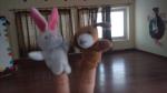 Finger puppet  show : Kindergartens